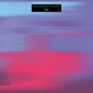 Виниловая пластинка VARIOUS ARTISTS / MAN WITHOUT A COUNTRY (1LP)